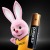 Фото товара Акумулятор Duracell HR03BLN02*10 (AAA) 750mAh