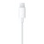 Фото товара Гарнітура Apple EarPods with Lightning Connector (MMTN2ZM/A)