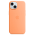 Фото товара Чохол Apple iPhone 15 Plus Silicone Case with MagSafe - Orange Sorbet MT173